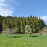 Apartmán Leitner Lunz am See