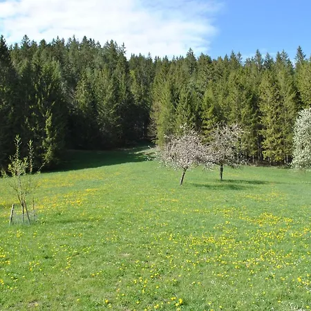Leitner Lunz am See