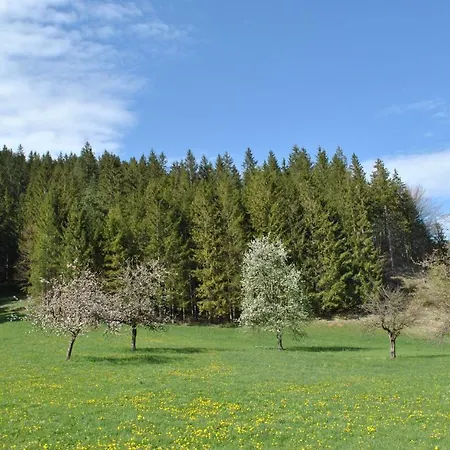 Apartament Leitner Lunz am See