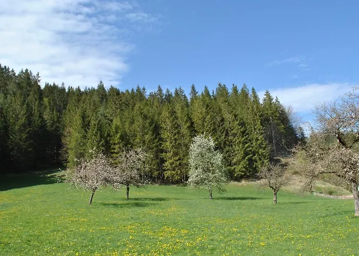 דירה Leitner לונץ אם סי