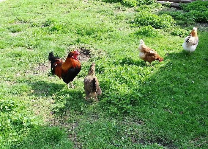 Leitner Apartamento *